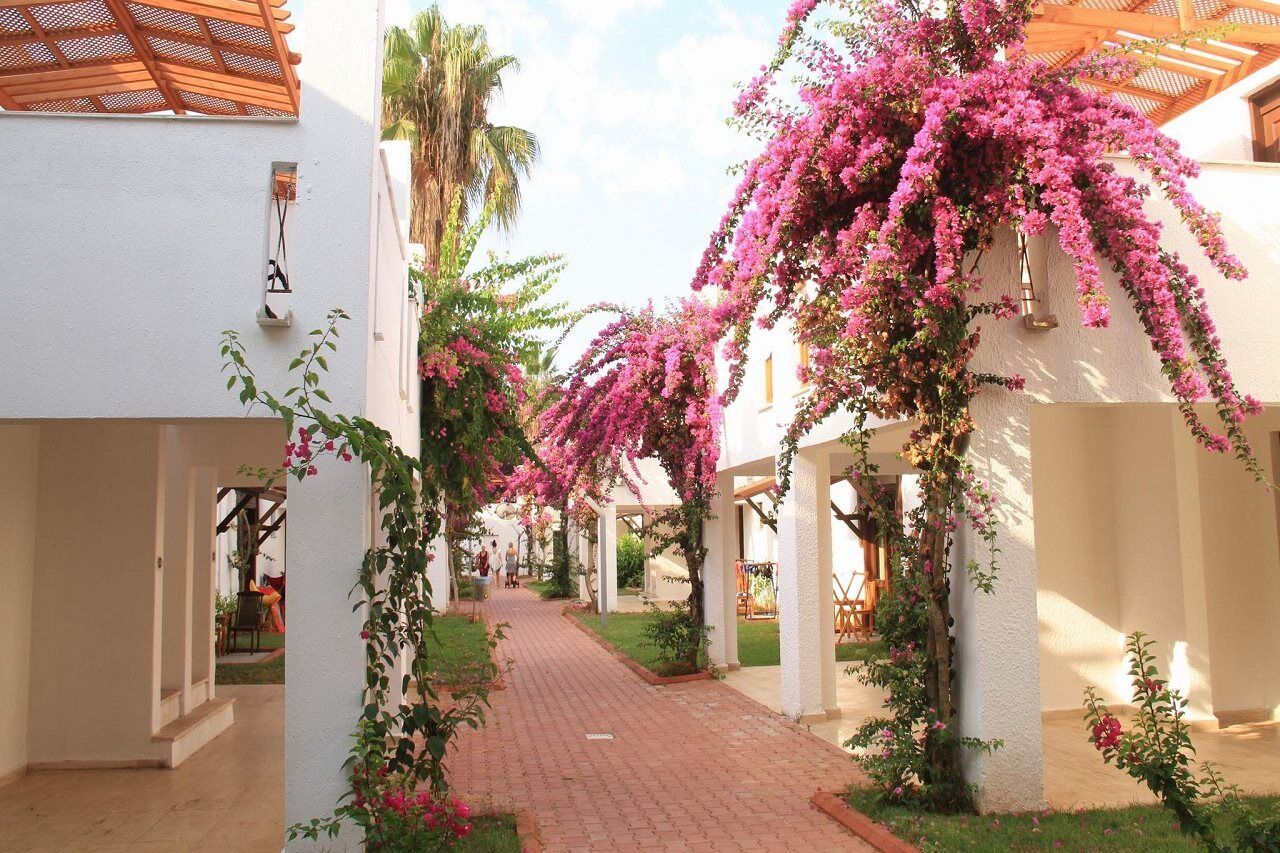 Club Kastalia Holiday Village Konakli Luaran gambar
